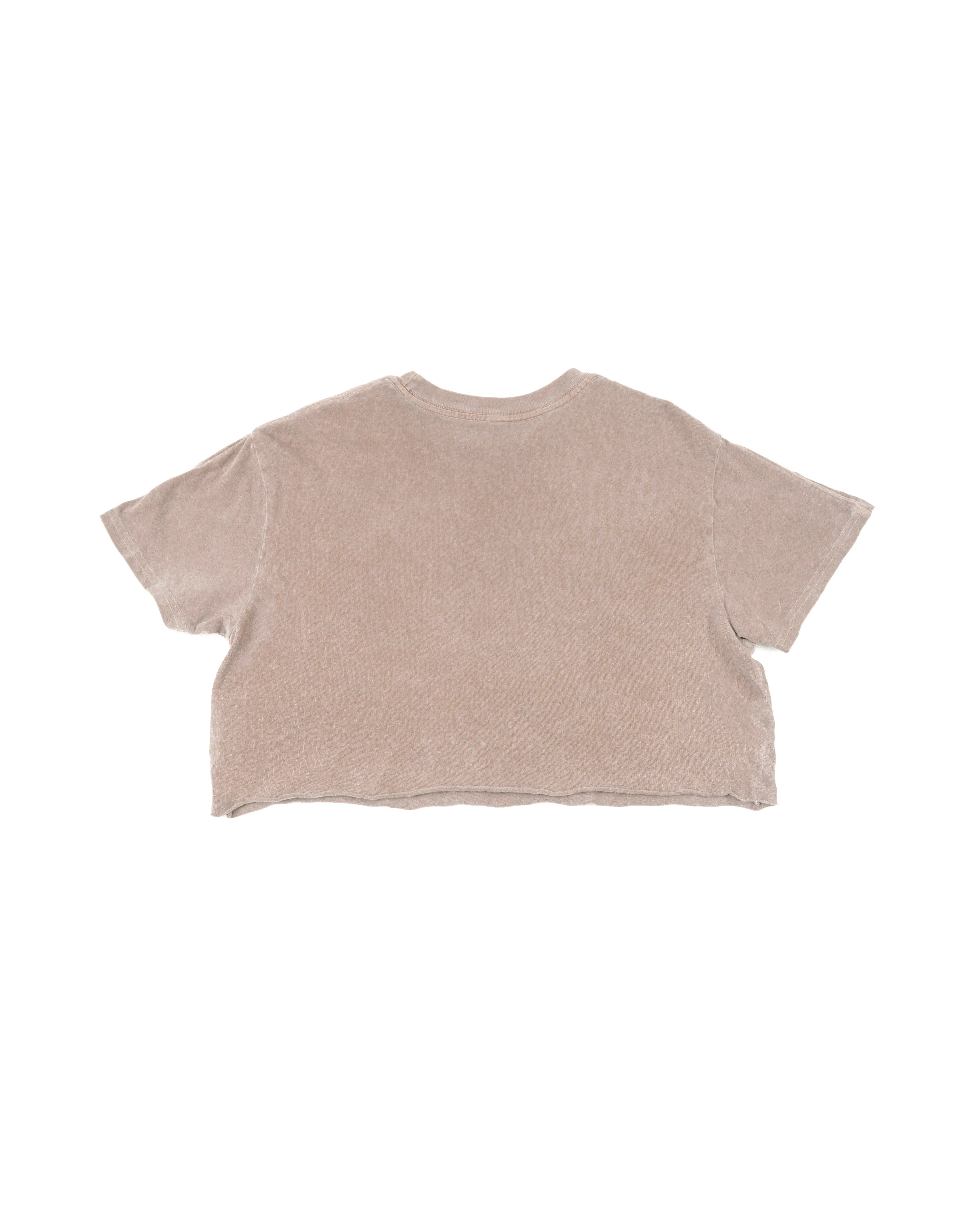 Beach Crop Tee