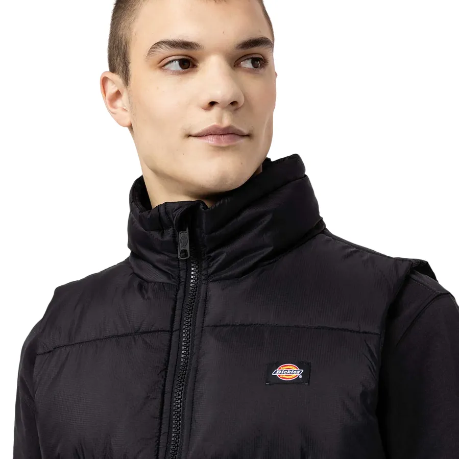 Dickies gilet a uomo Waldenburg DK0A4Y2KBLK1 nero