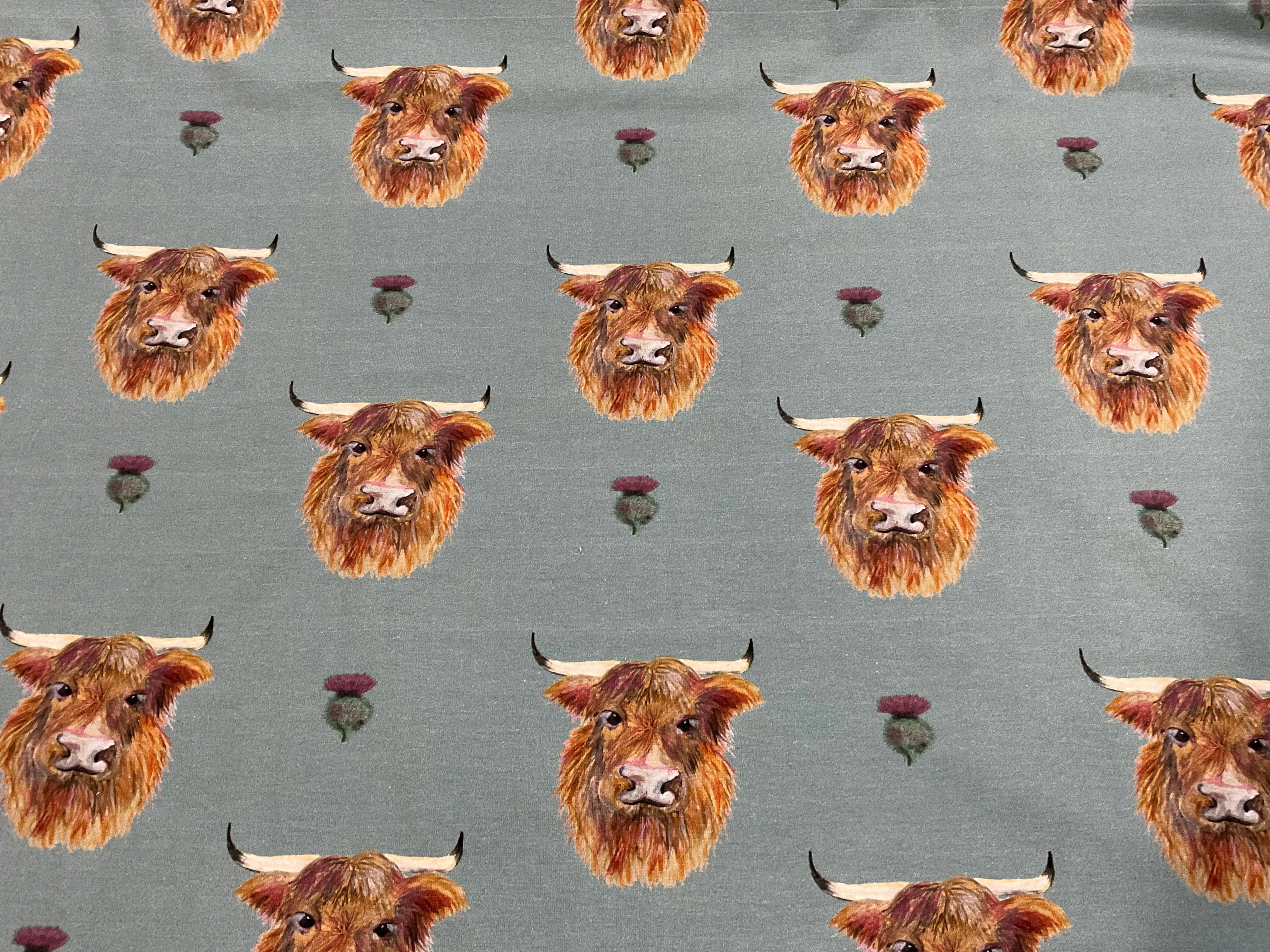 FLAWED Highland Cow Cotton Jersey