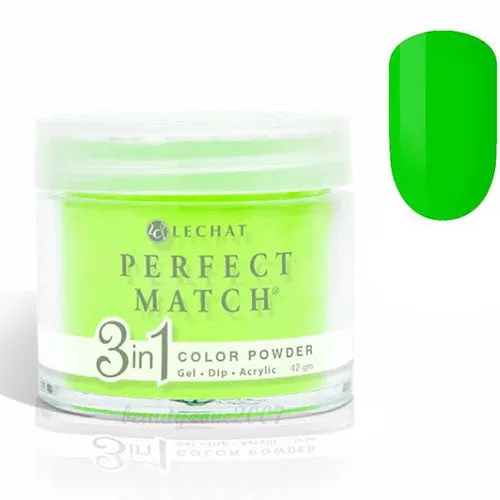 LECHAT PERFECT MATCH DIP - #040 Anonymity