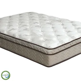 Lilium White/Brown 13" Euro Pillow Top Mattress, E.King