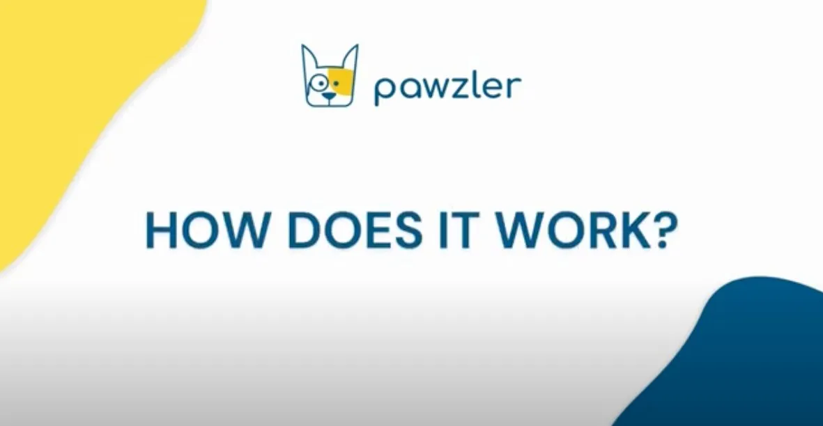 Pawzler Innovative Modular Dog Puzzles (Louvre Without Base)